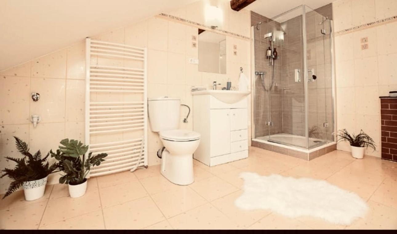 זאטק Apartman Penelope מראה חיצוני תמונה
